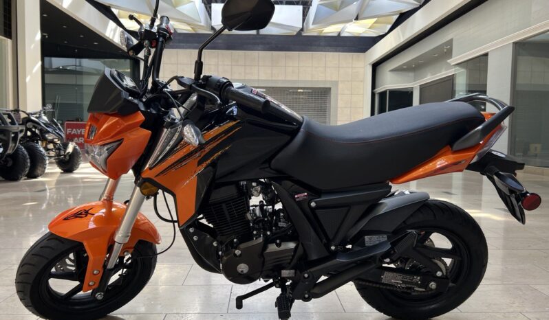 photo_5075599094520589333_y