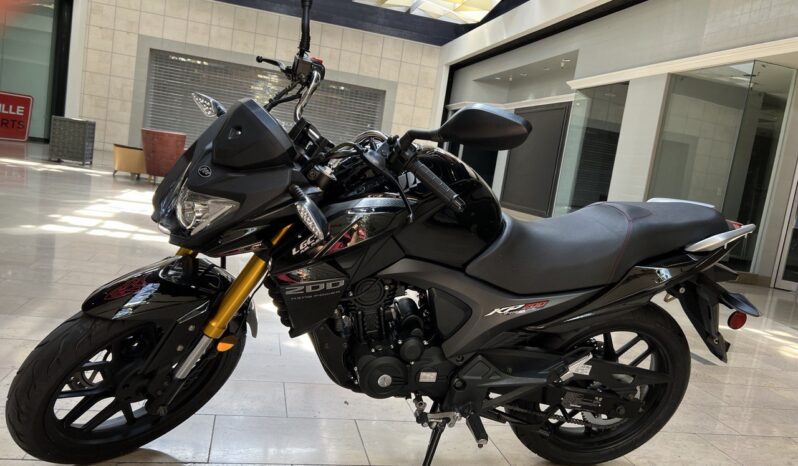 photo_5075599094520589343_y