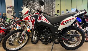 photo_4994546219762166698_y